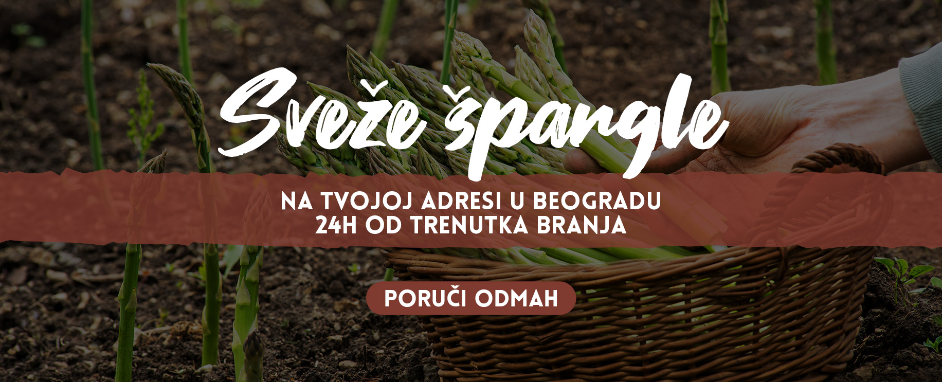 Sveže špargle