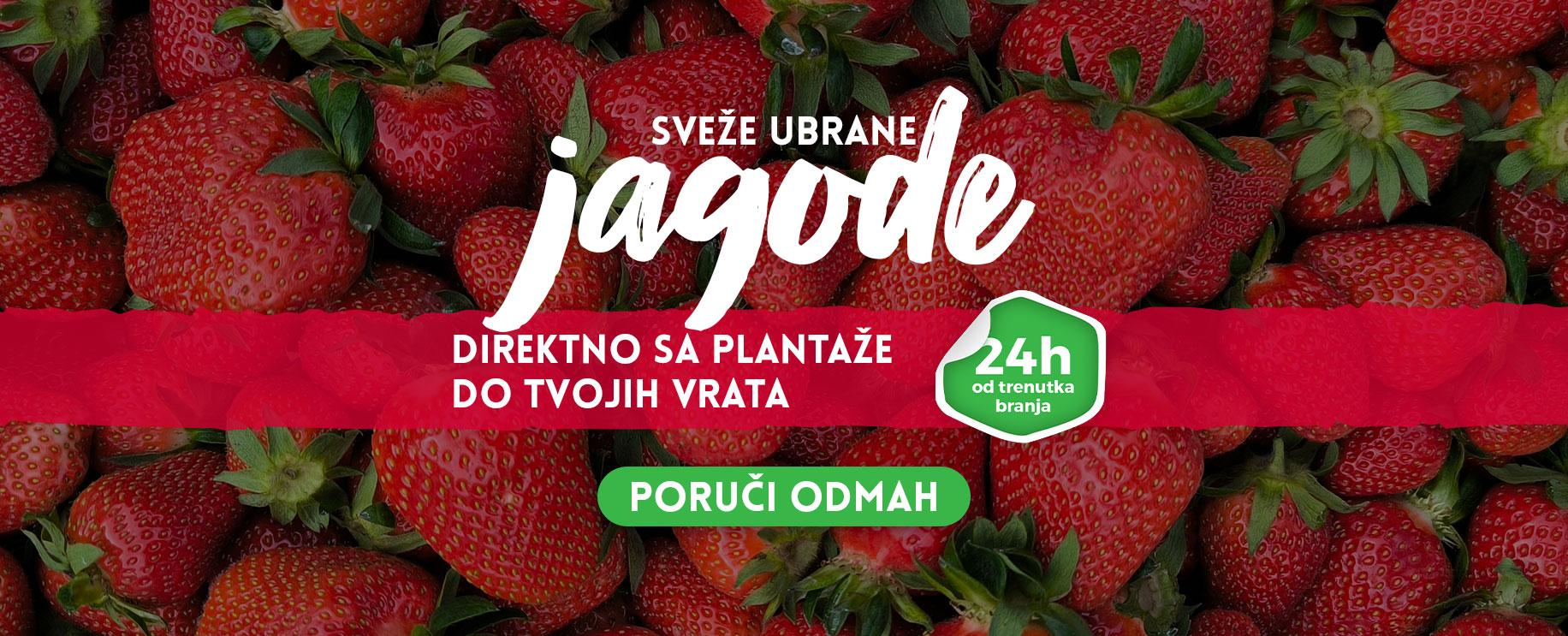 Sveže Jagode