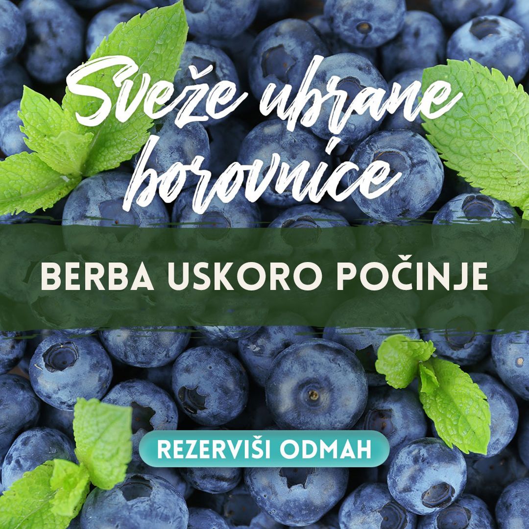 Sveže Borovnice
