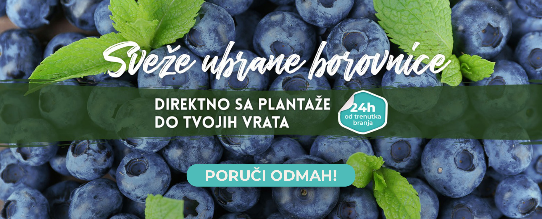 Sveže Borovnice