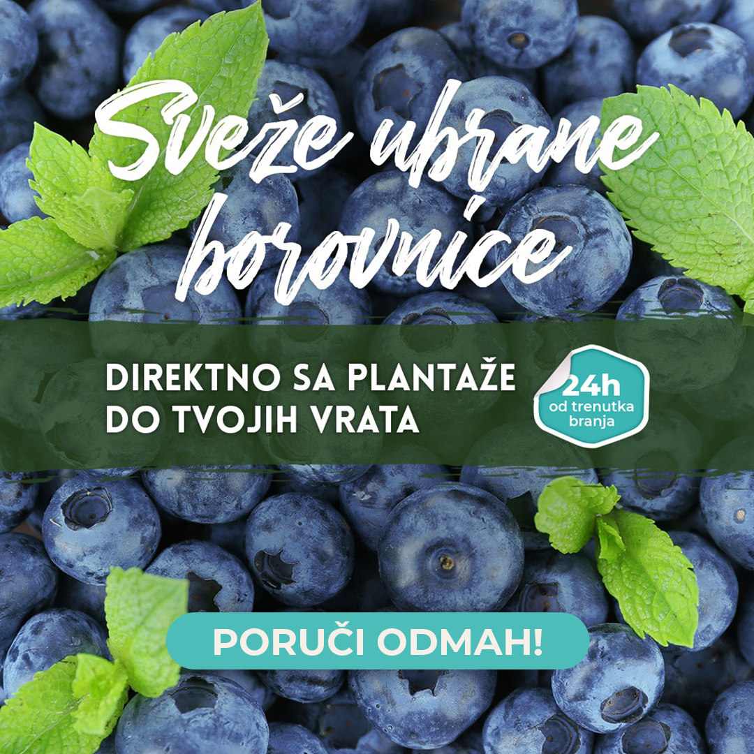 Sveže Borovnice
